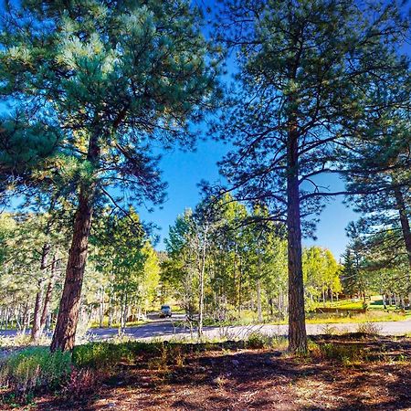 Pinon Pines Vila South Fork Exterior foto